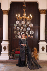 Husan Pari