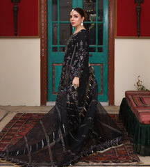 Husan Pari